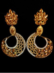 Fashion Earrings